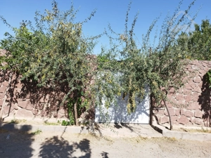 خونه ویلایی واقع در دستجرد ( روستای سرخده)