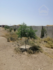 باغ ویلا زمین
