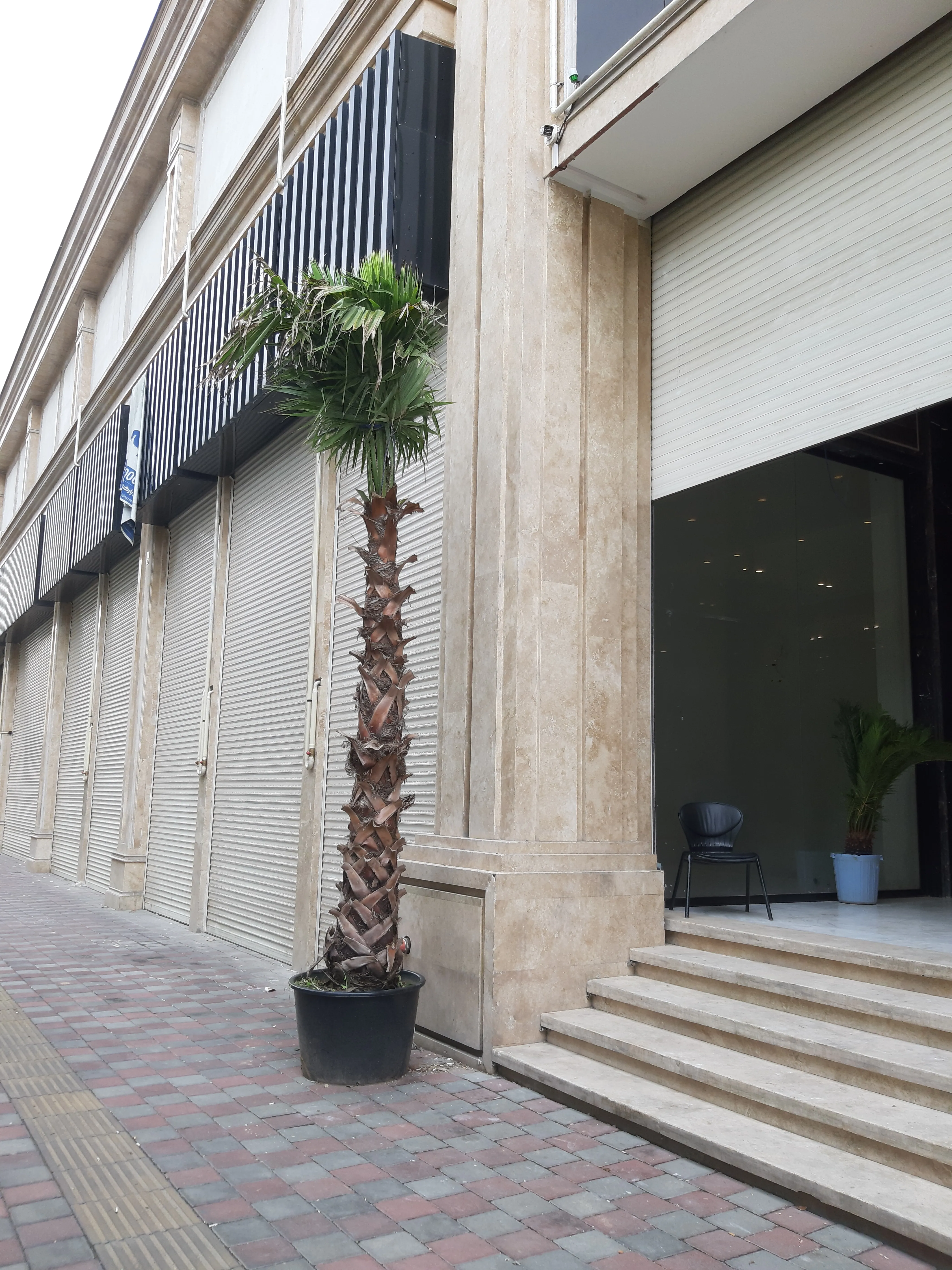 فروش واحد 36 متر رونیکامال در هروی