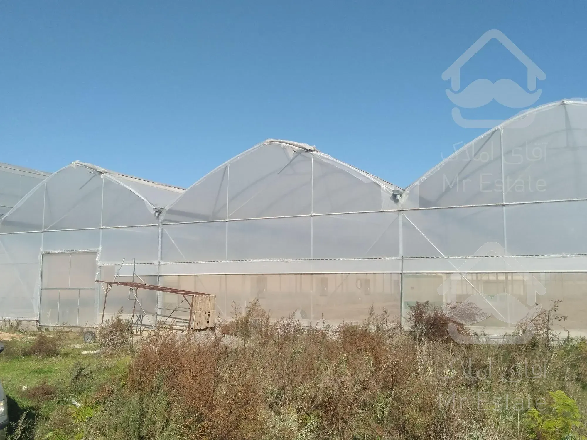 گلخانه /مکانیزه/زیرقیمت