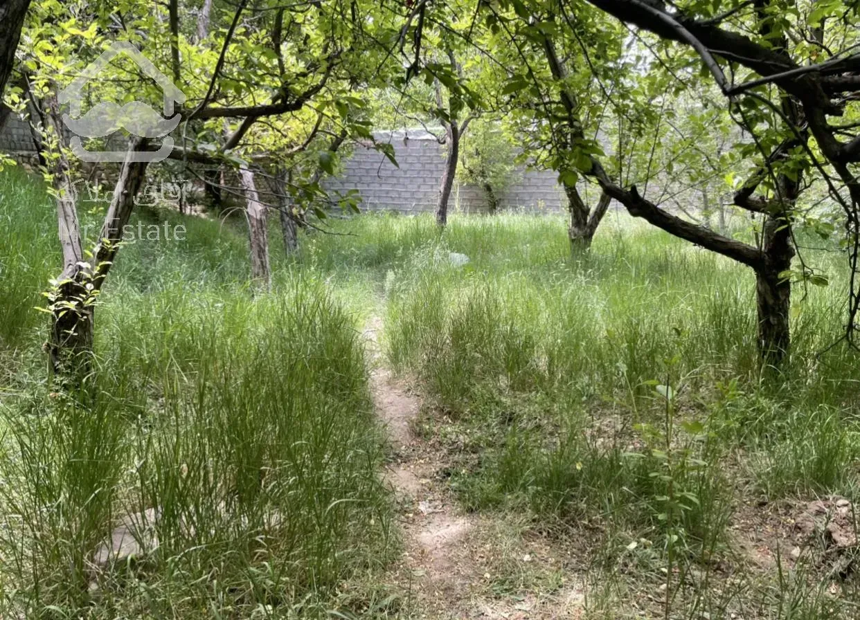 45 متر ، بعد از جابان سرخده