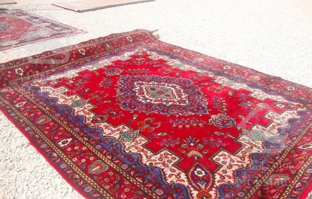 قالی شویی ۱۱۸ قالیشویی تمام اتوماتیک