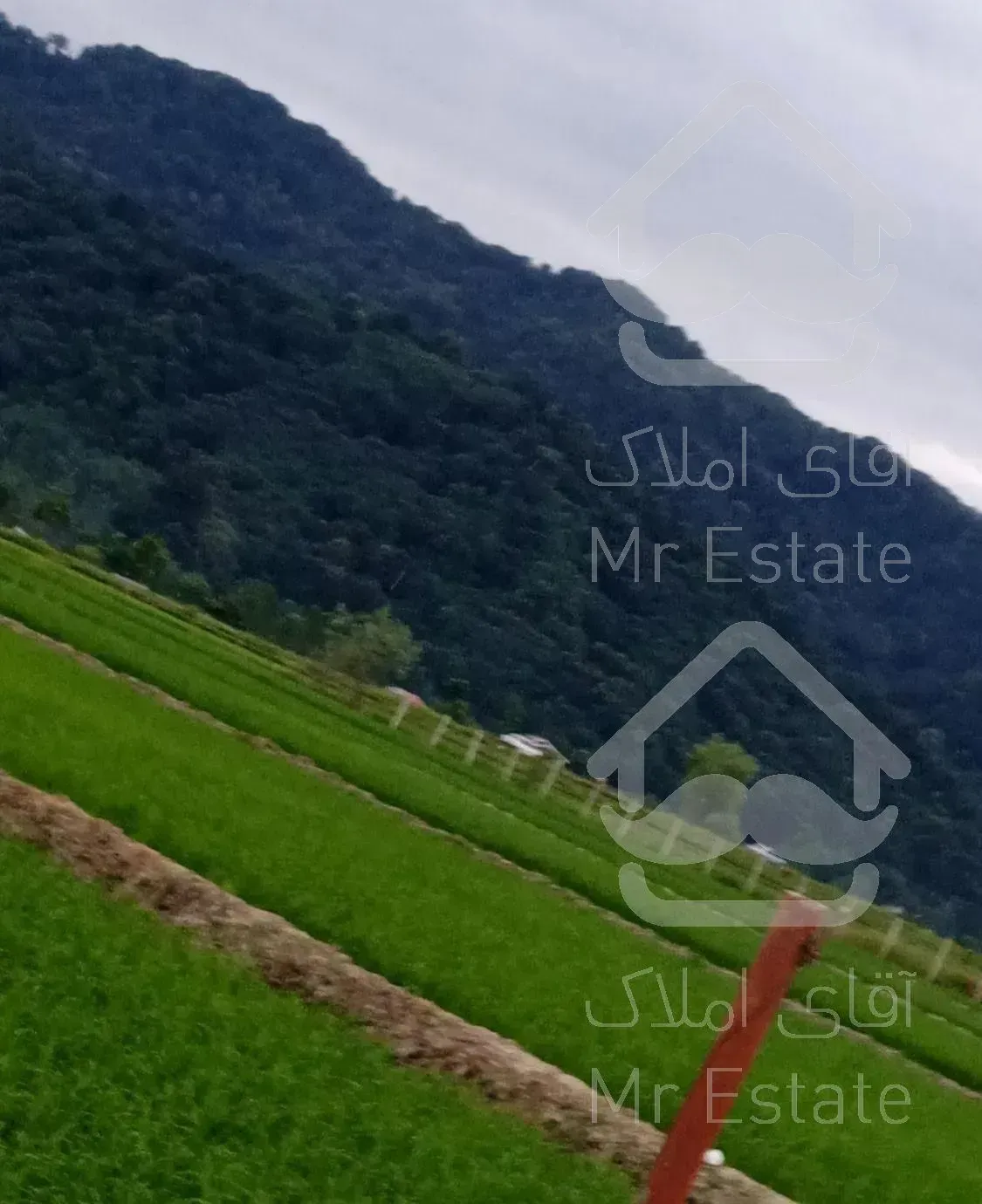 دوخوابه بهداشتی با حیاط و پارکینگ بعد گیسوم اسالم