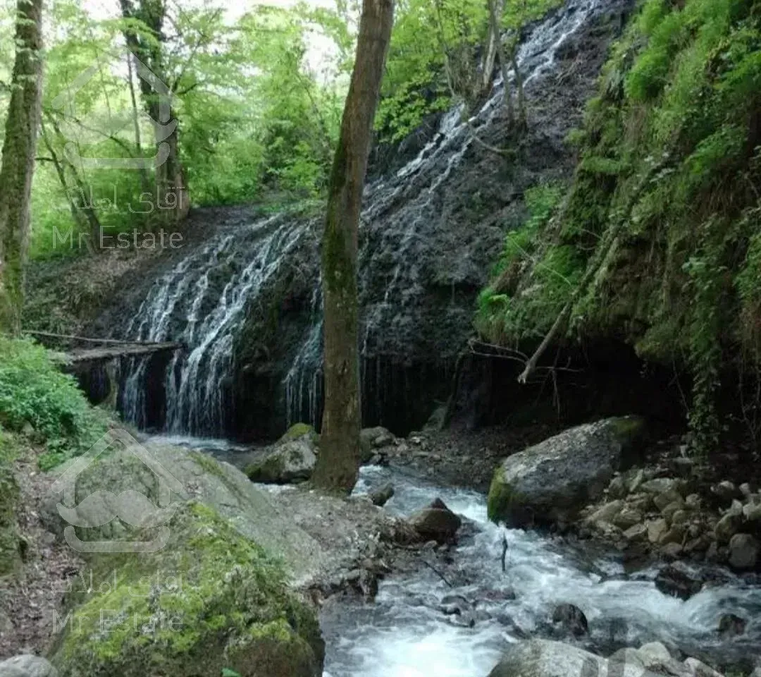 ویلا وصل به جنگل در ییلاق کوهستانی ماهیان