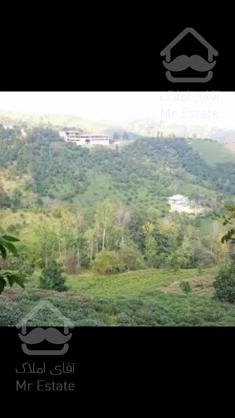 فروش زمین مسکونی و باغی در منطقه ی توریستی رودسر