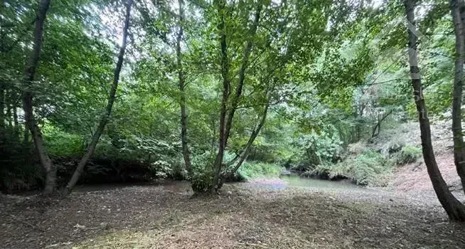 ۸۱۳ متر خانه ویلایی در بلواردیلمان وحدت ویو جنگل