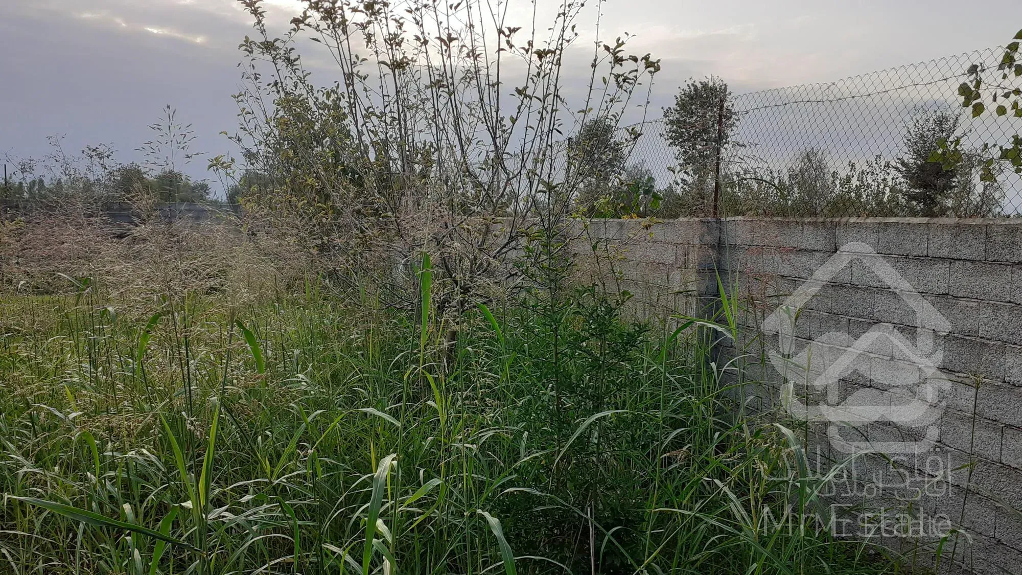 خانه کوچک و ۷۴۱ متر زمین با ۲۰۱ متر مجوز ساخت