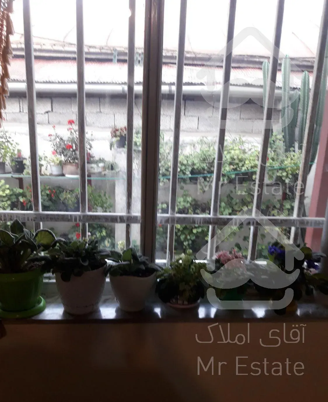 اجاره ویلا تک خواب