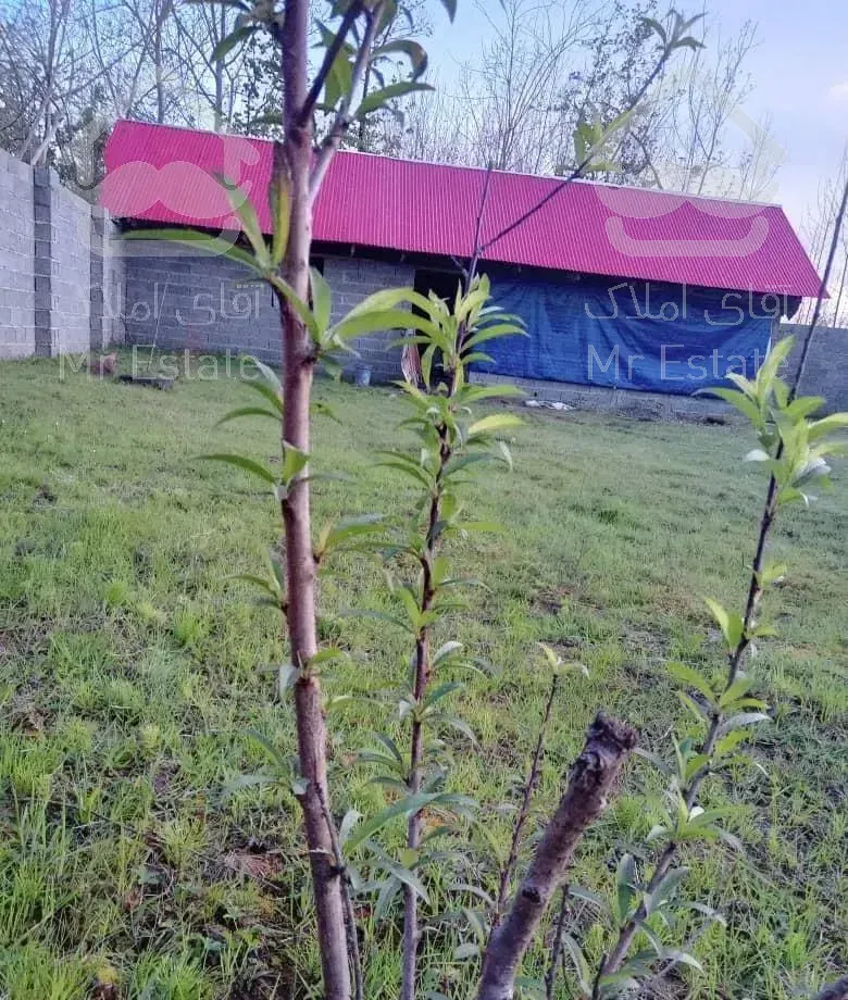 ویلا باغ رویایی ۹۰۰متری تو دل شالیزار/رشت/خشکبیجار