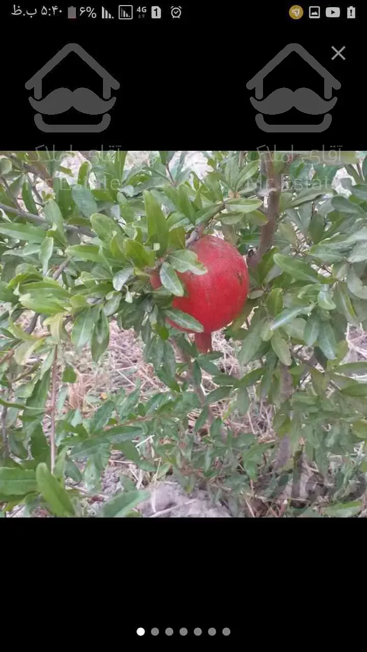 ۱۵۴۰مترباغ گلبرگ