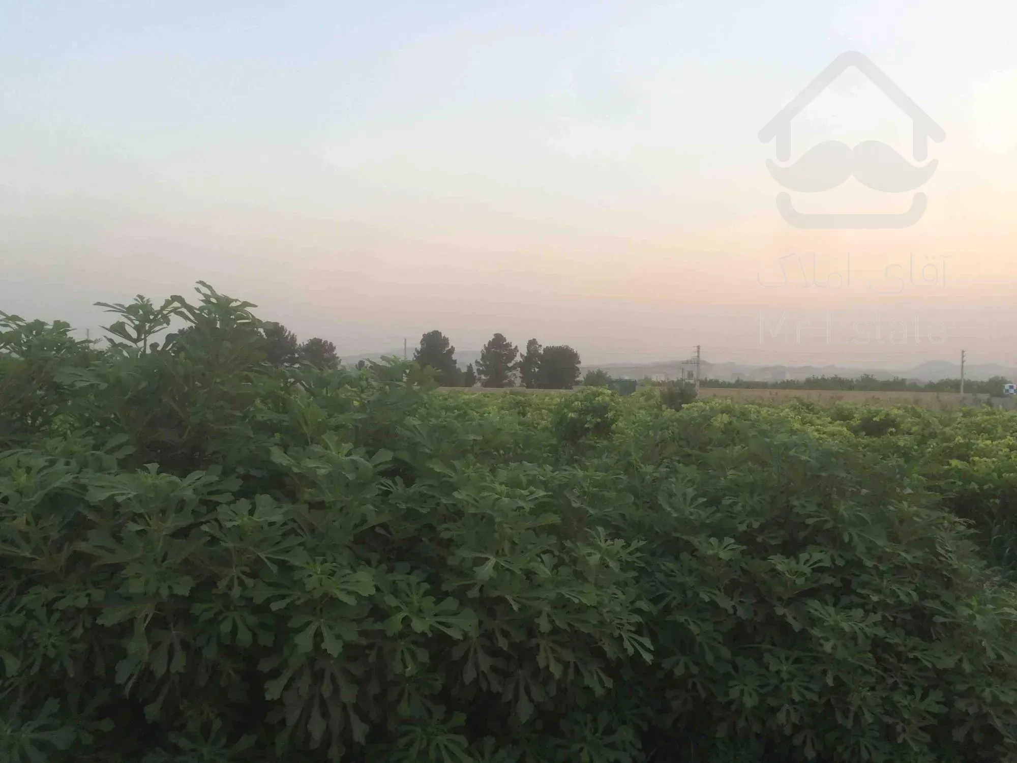 باغچه ٥٠٠ متري 