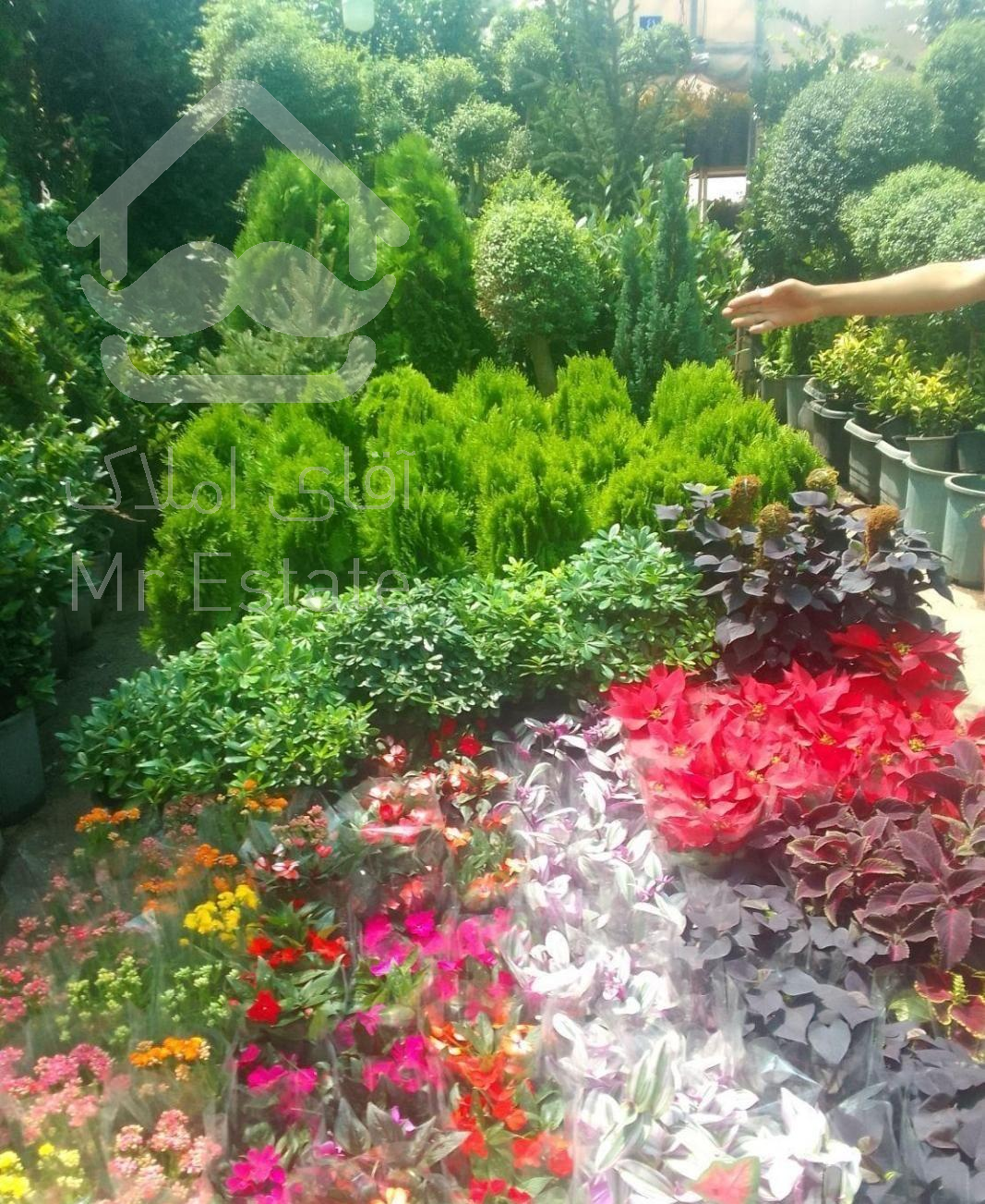 خدمات باغبانی کاشت گل چهار فصل فضای سبز ۳۵%تخفیف