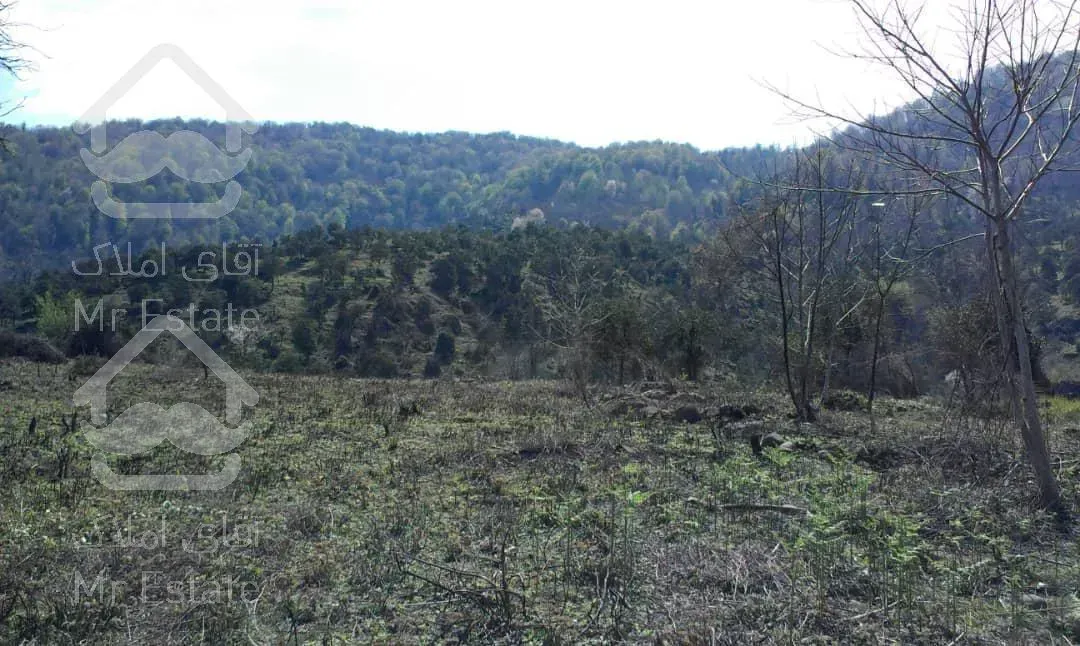 فروش زمین با چشم انداز زیبا