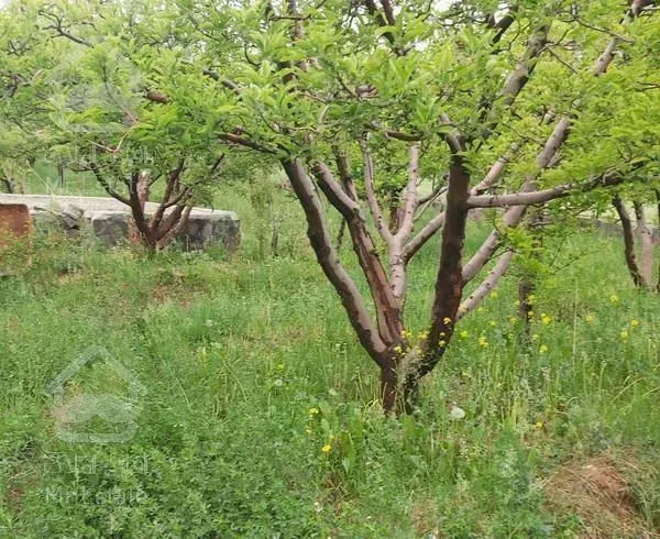 ویلا دماوند احمد باد 800متر