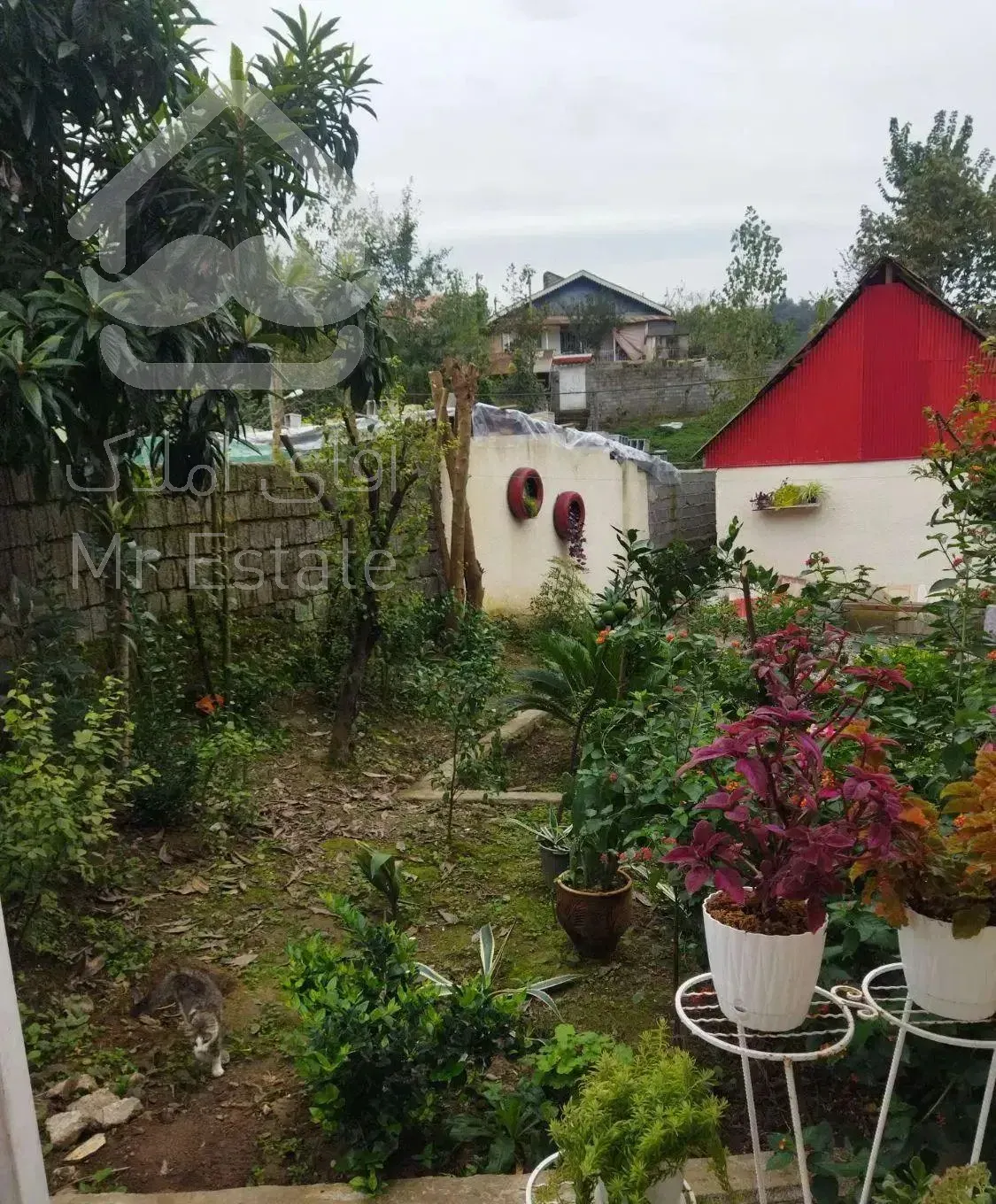 ۳۸۰ متر ویلایی ۳ خواب جنگلی / لاهیجان