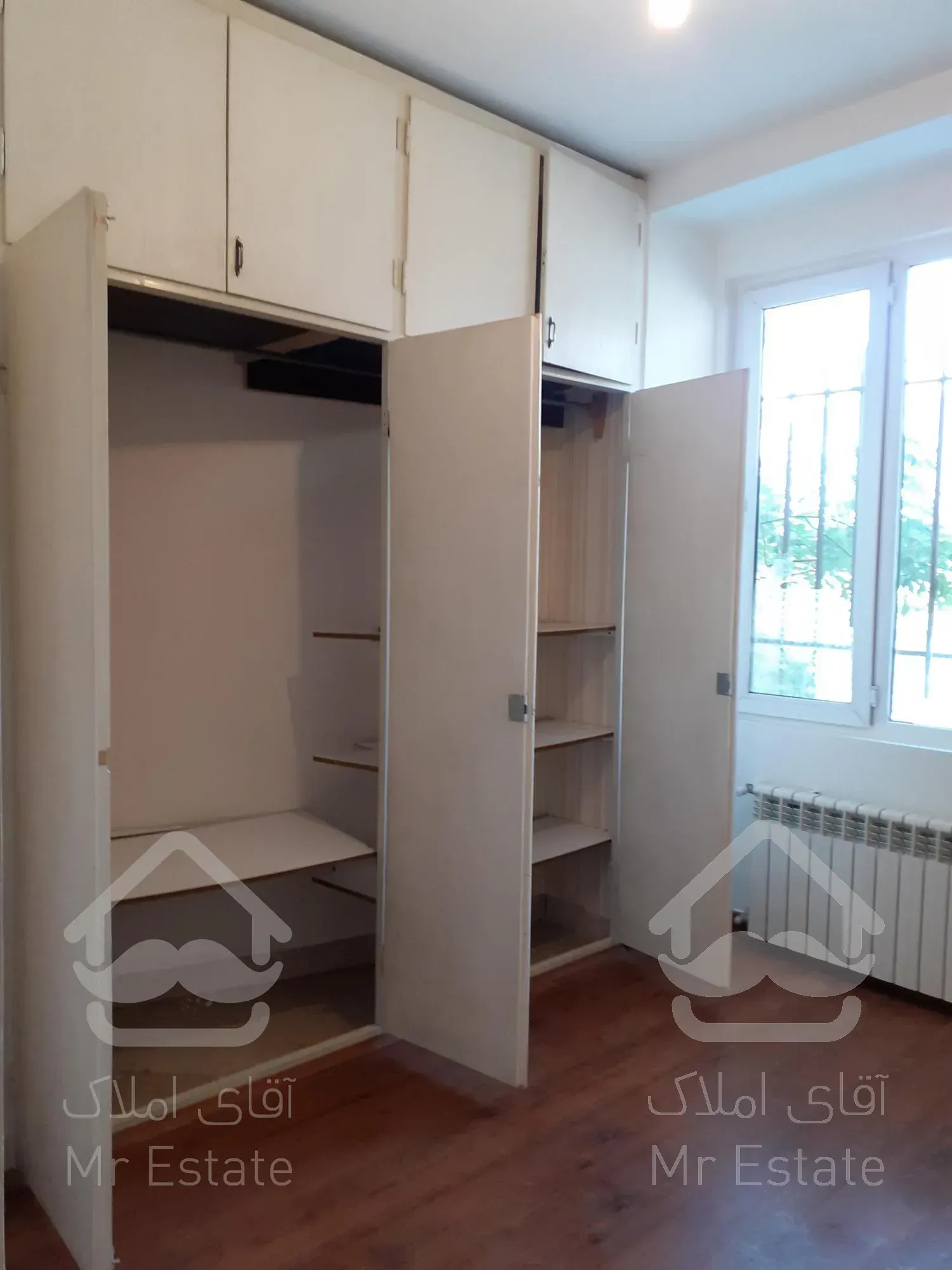 ۷۵ من فول سردار جنگل