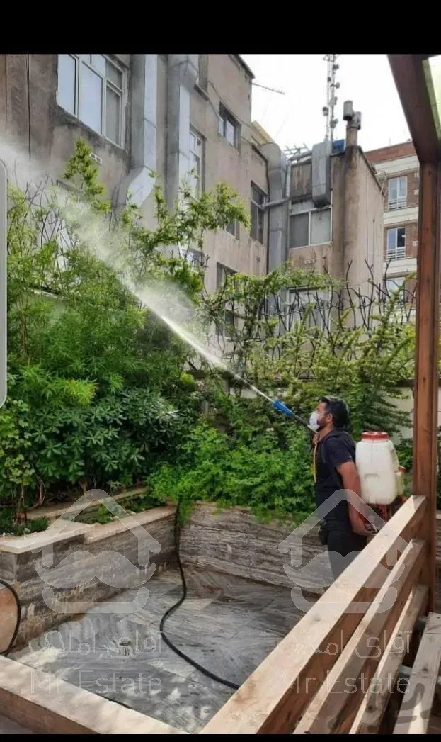 باغبانی هرسکاری سمپاشی سوسک ساس موریانه با فاکتور