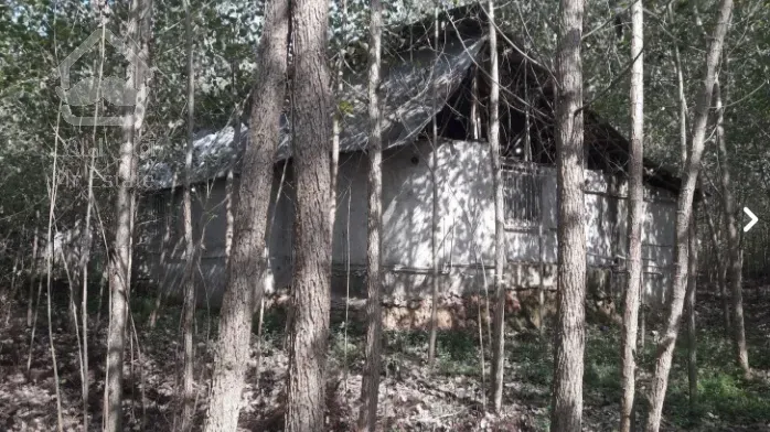 9هکتار زمین باغی