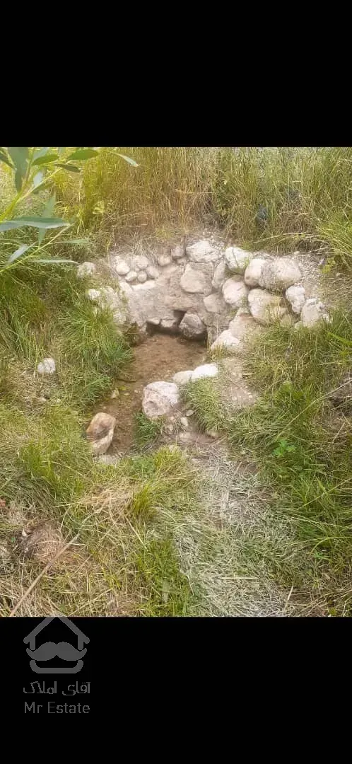 فروش باغ ۴۱۰۰متری با انواع درختان مثمر