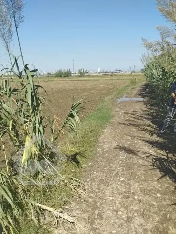 فروش زمین کشاورزی باغ و سوله هم میشه