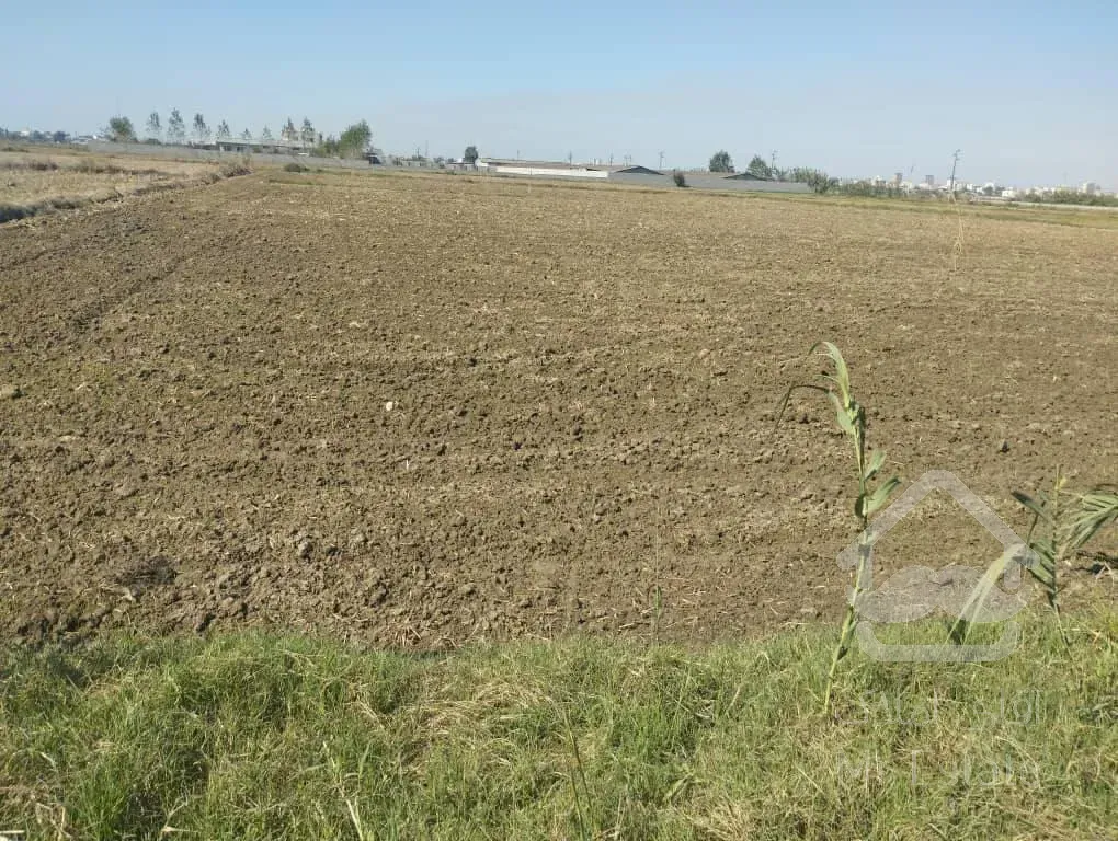 فروش زمین کشاورزی باغ و سوله هم میشه