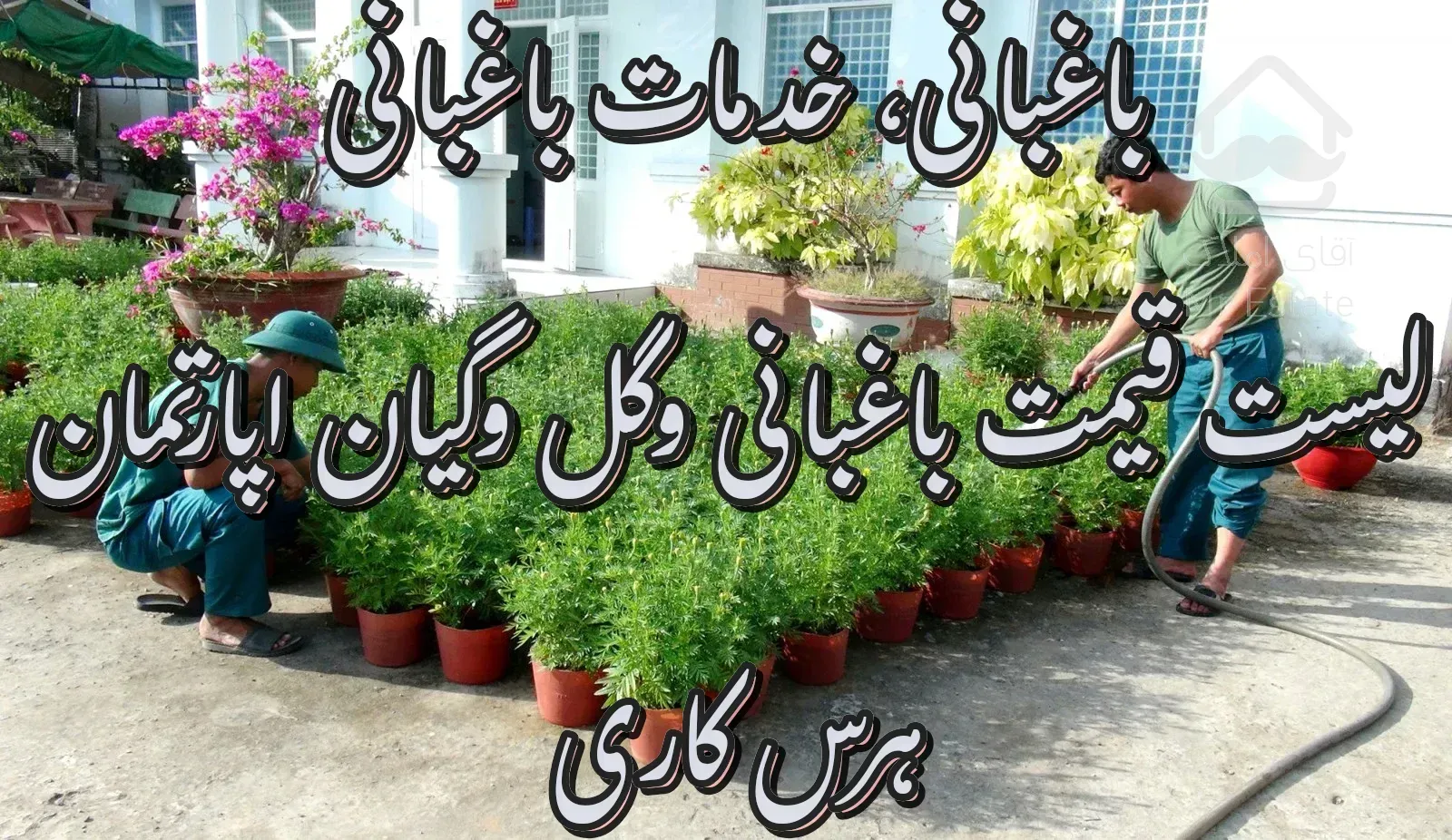 گل وگیان اپارتمان