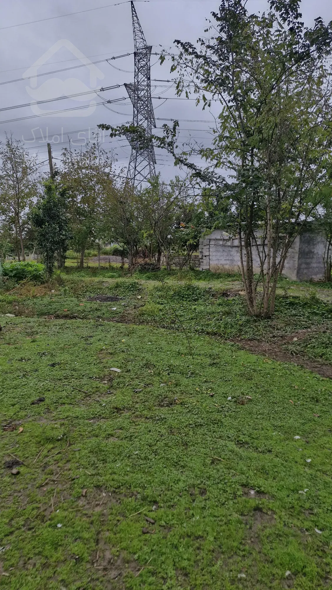 زمین در گیلان