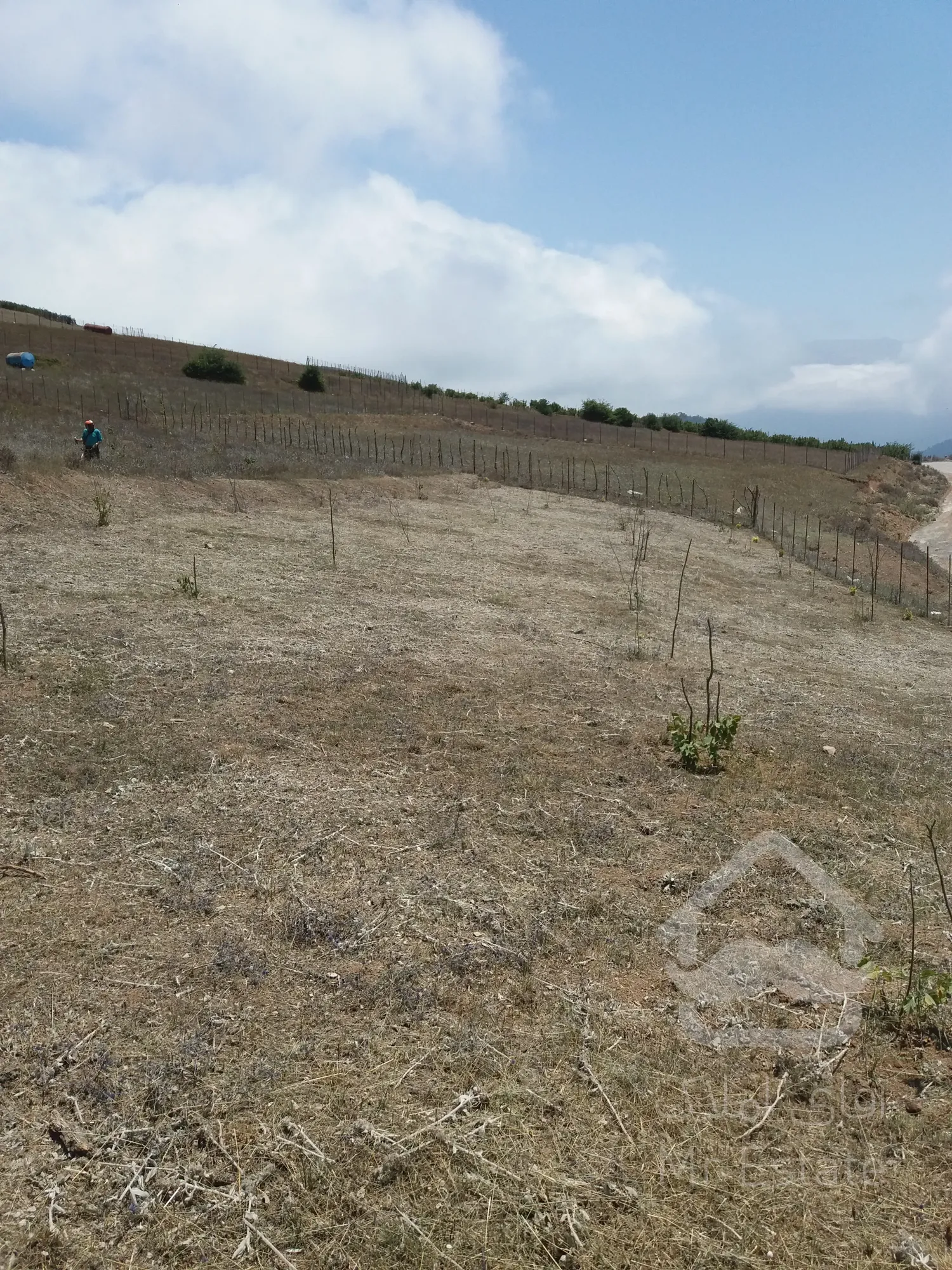 4000متر زمین کشاورزی