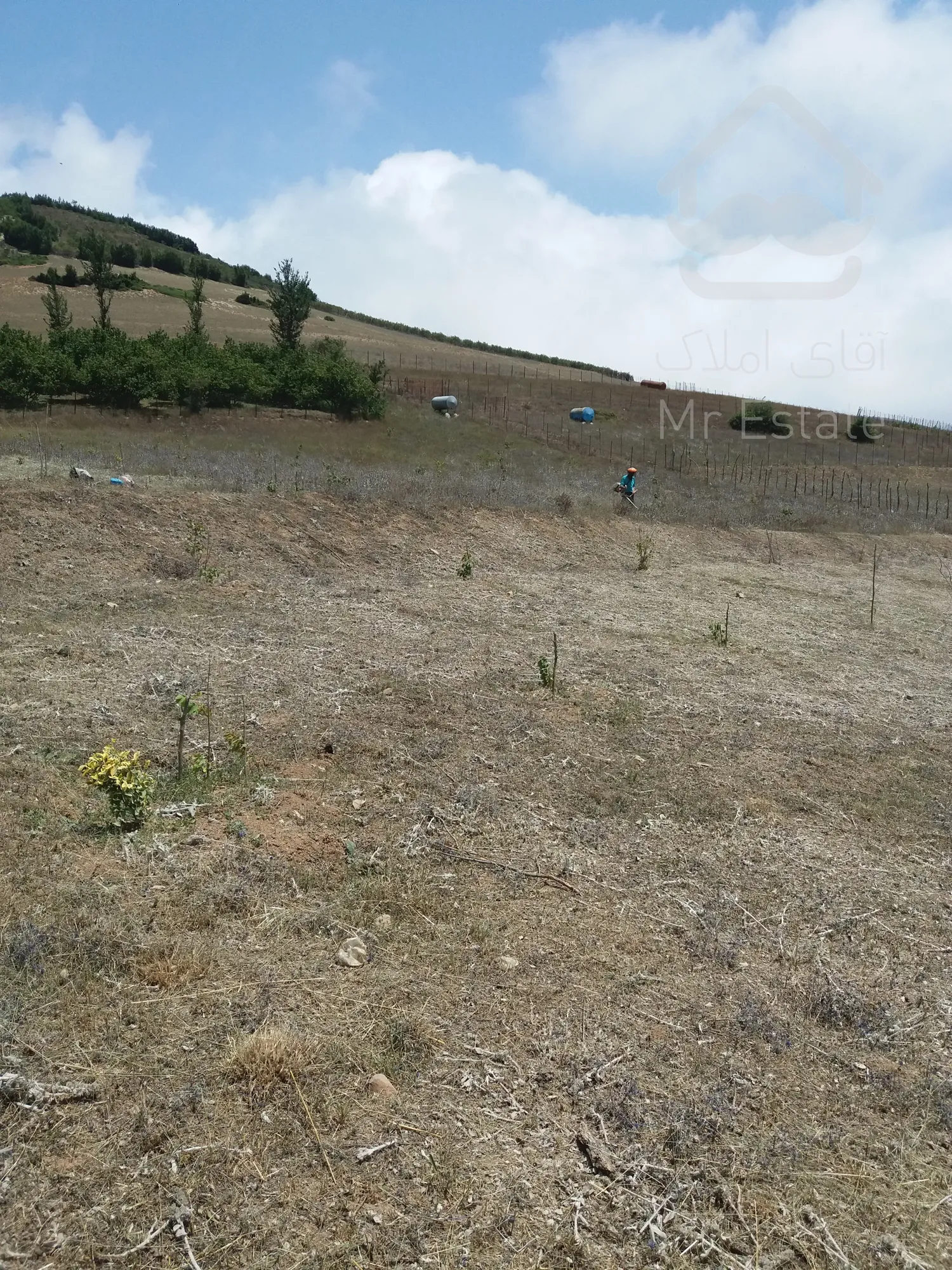 4000متر زمین کشاورزی