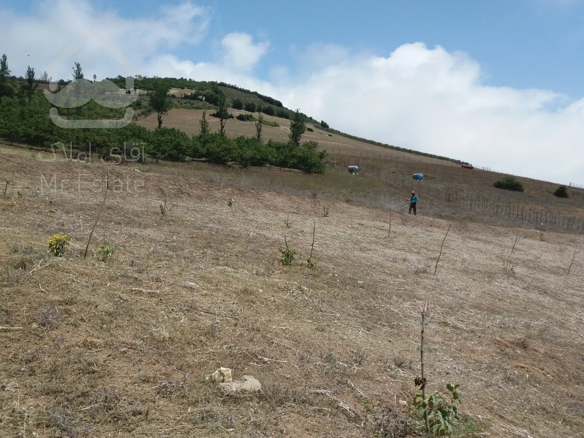 4000متر زمین کشاورزی