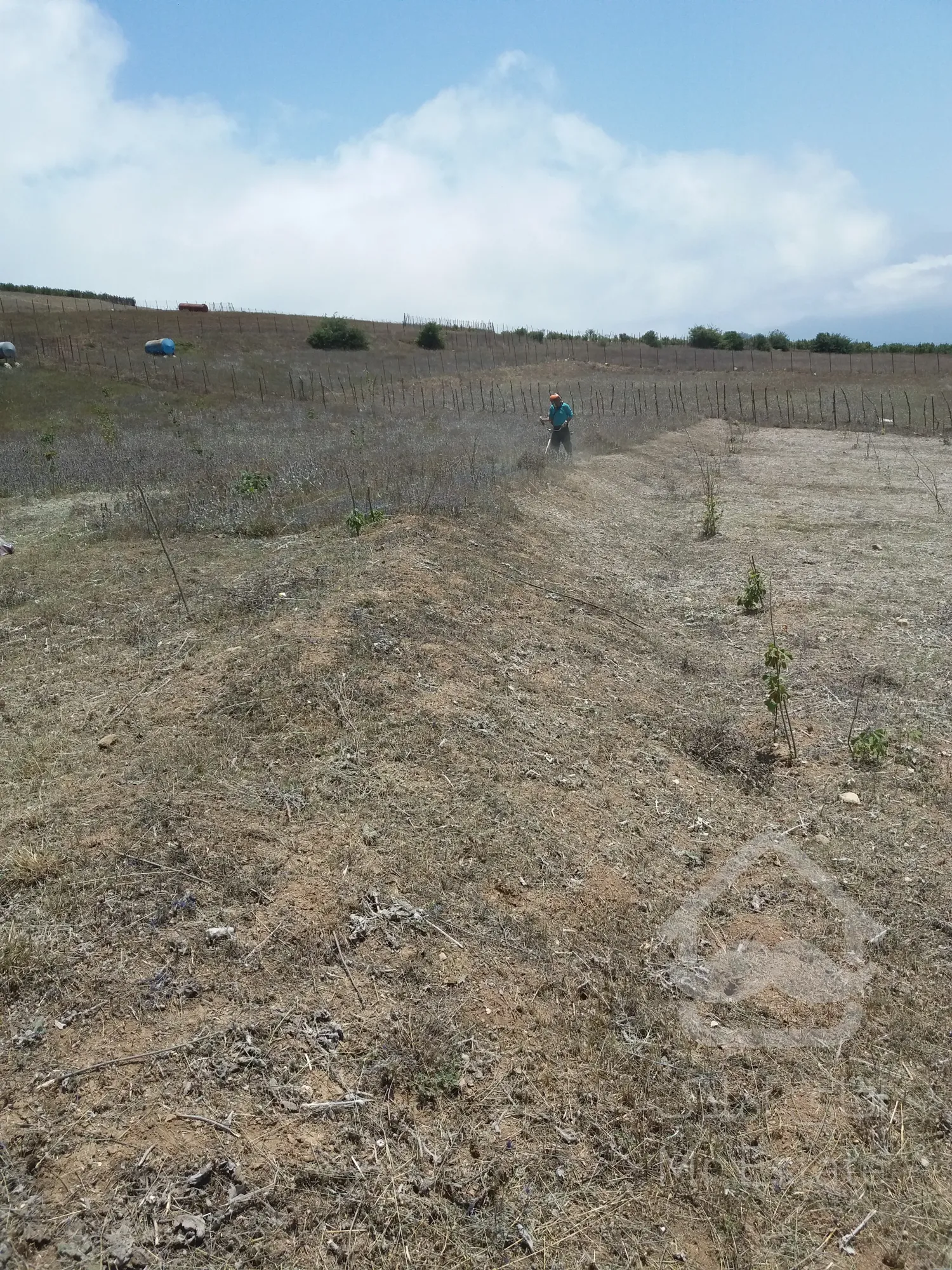 4000متر زمین کشاورزی