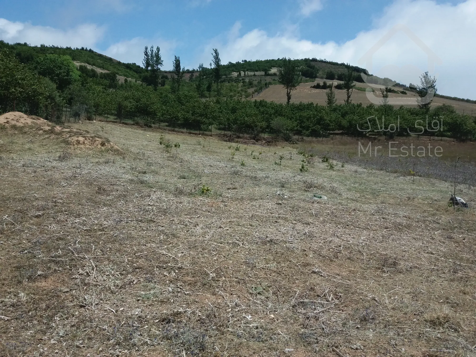 4000متر زمین کشاورزی