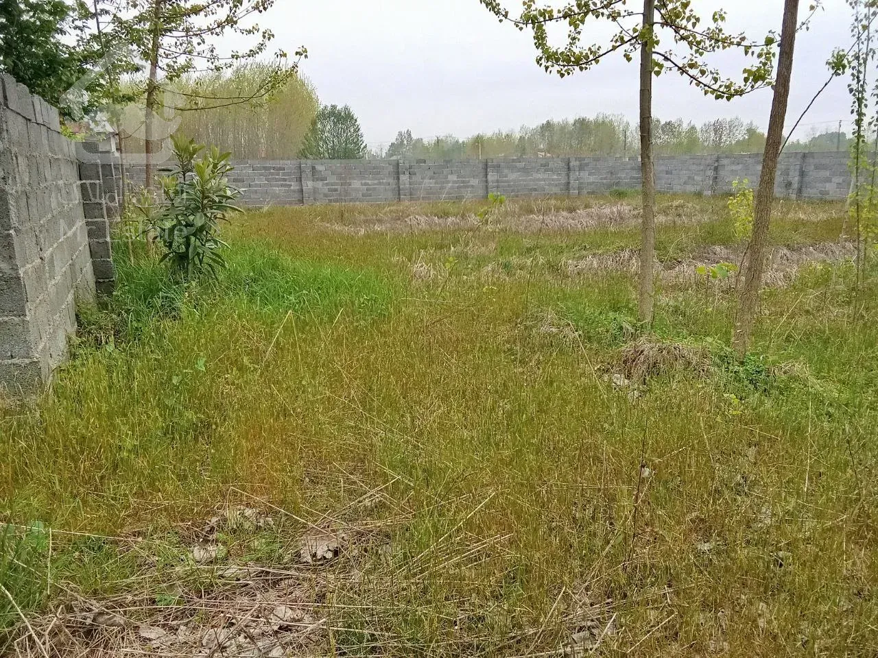 زمین باغی محصور