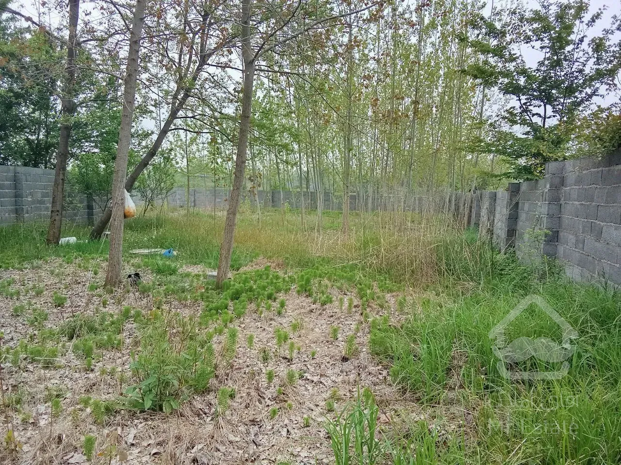 زمین باغی محصور