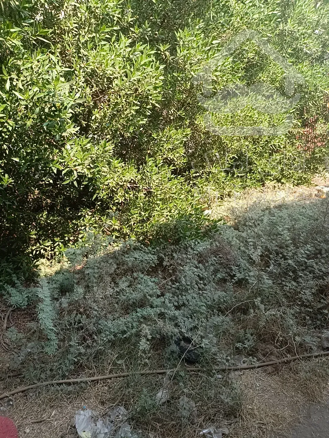 فروش ملک ۳ بر  گلستان