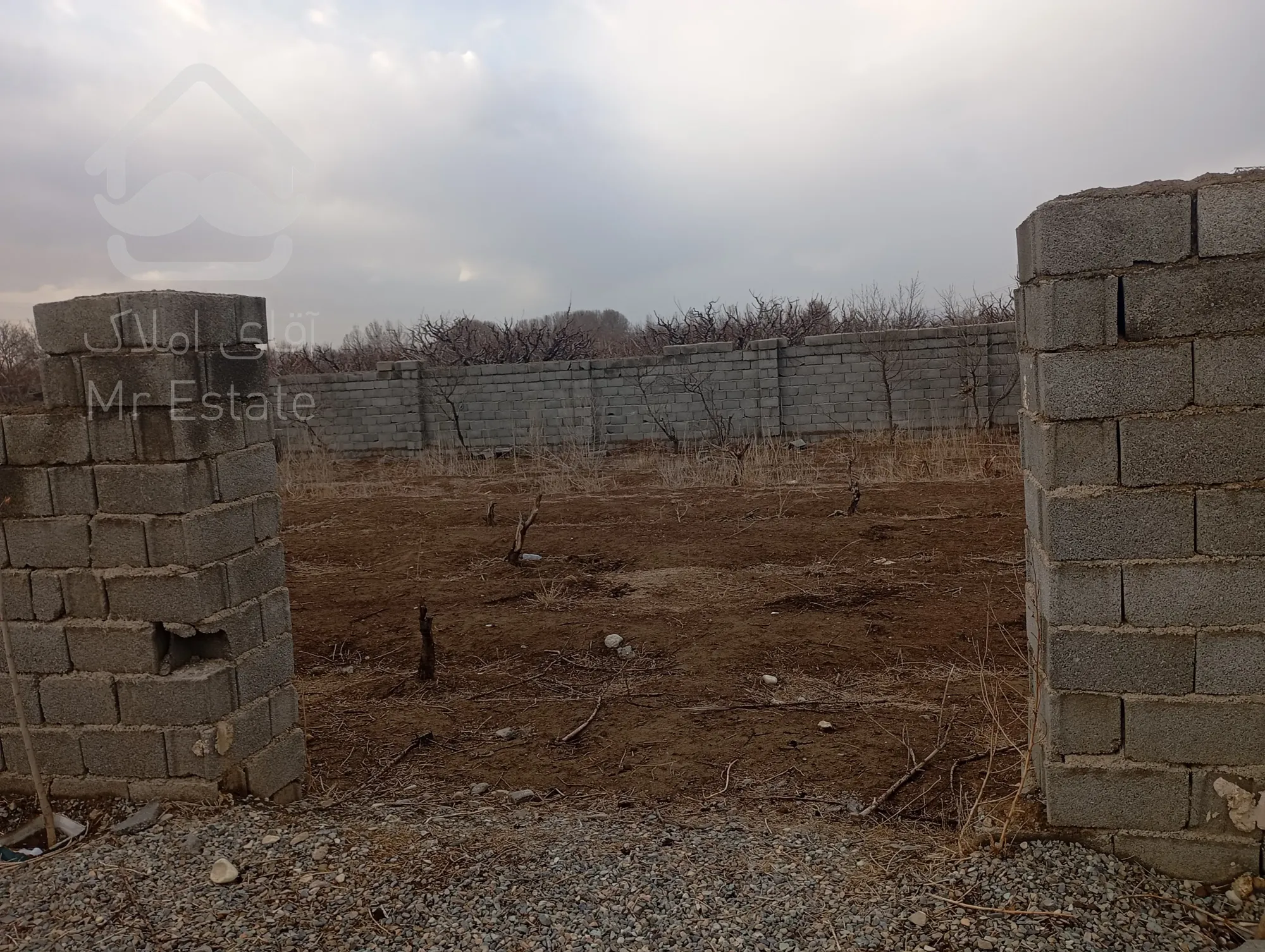 تهاتر ملک تاپ