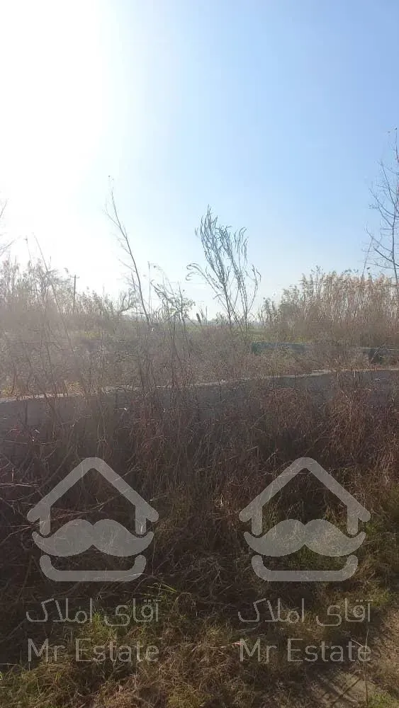 زمین تشبندان زراعی