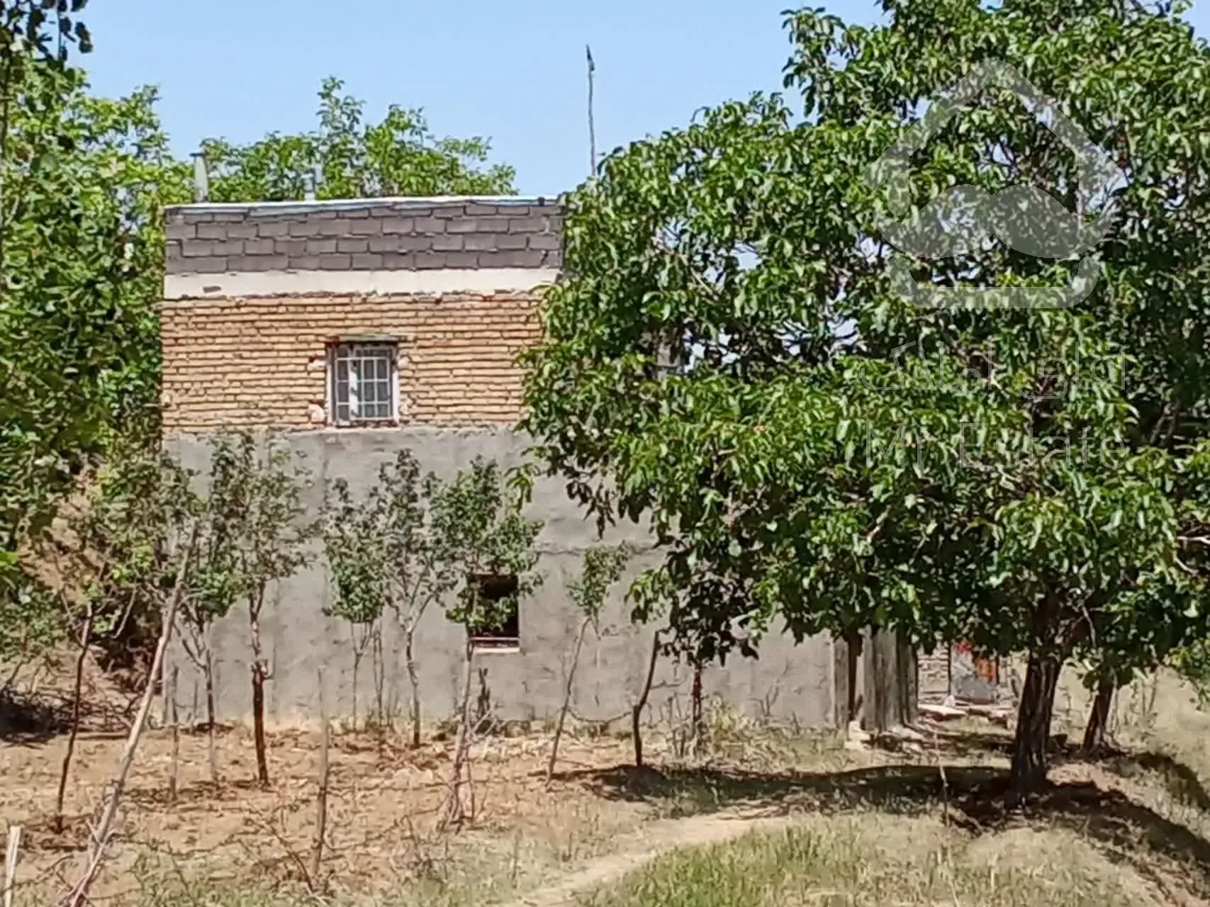 فروش باغ سمت ابرو نزدیک چشین