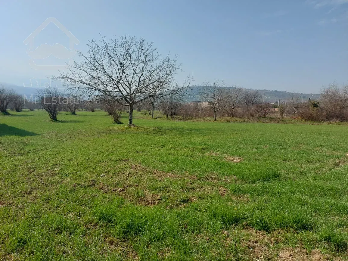 فروش ویژه زمین مازندران