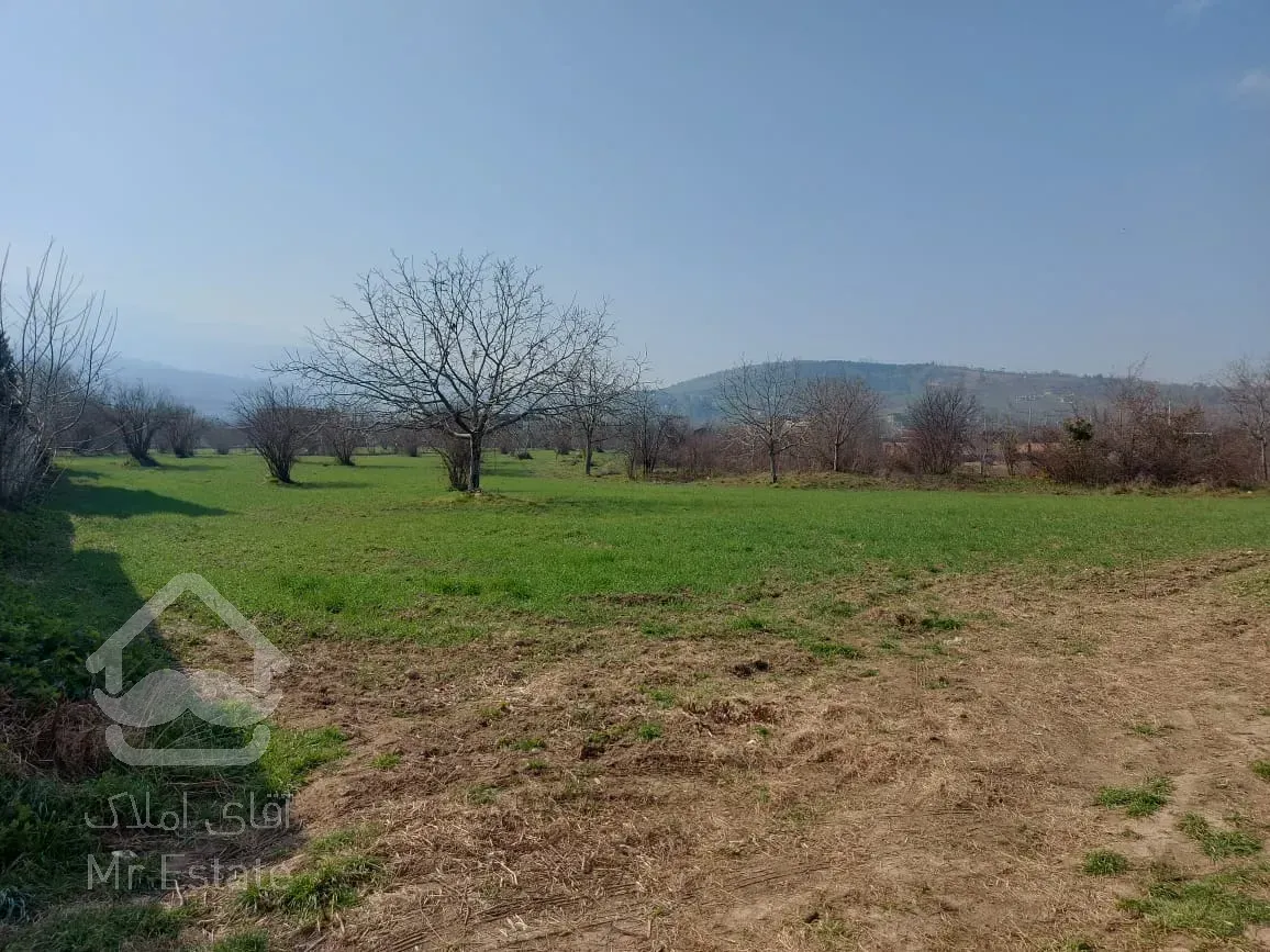 فروش ویژه زمین مازندران