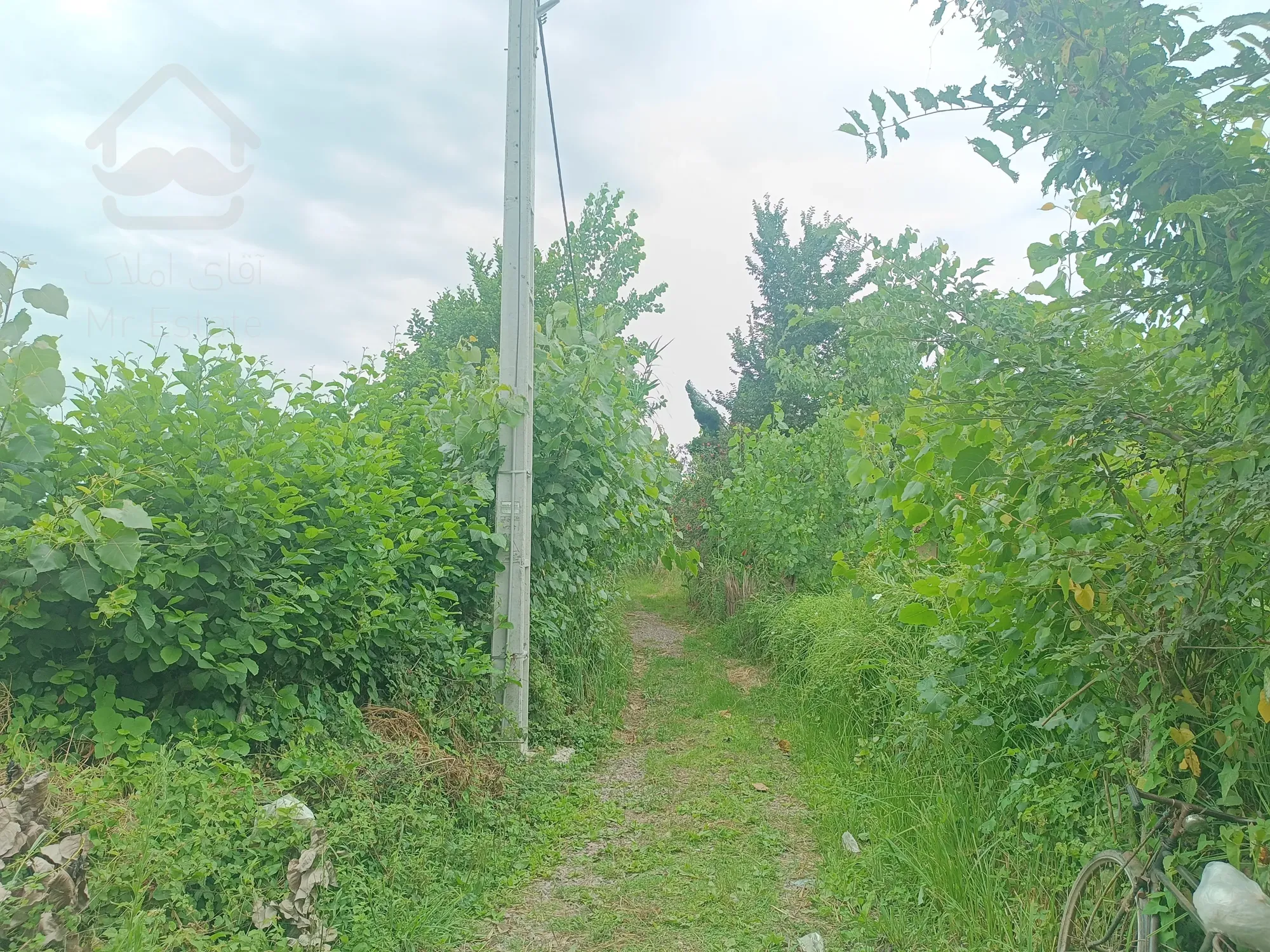 ویلا در شمال کشور