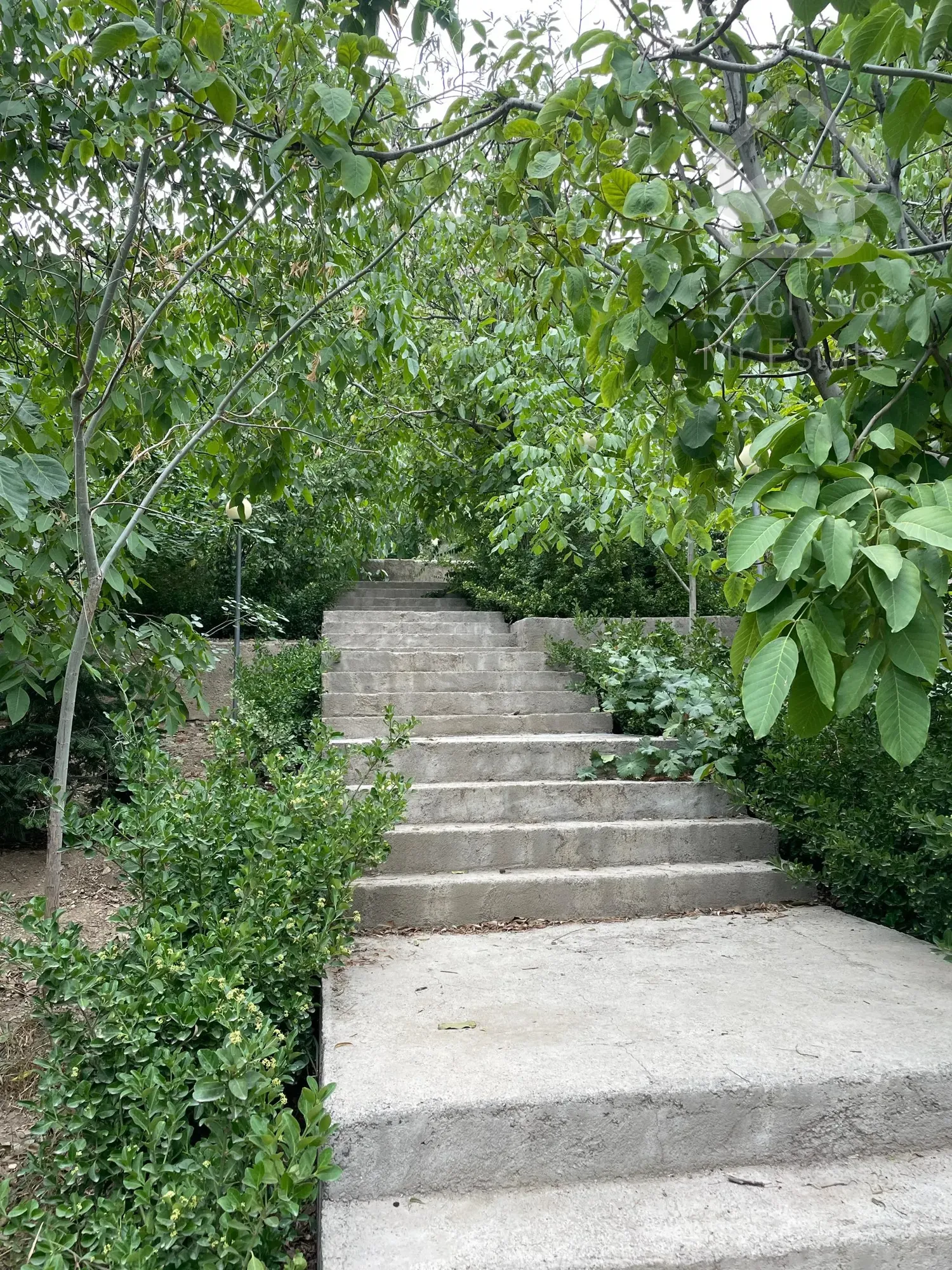 ۱۶۰۰ متر لواسان