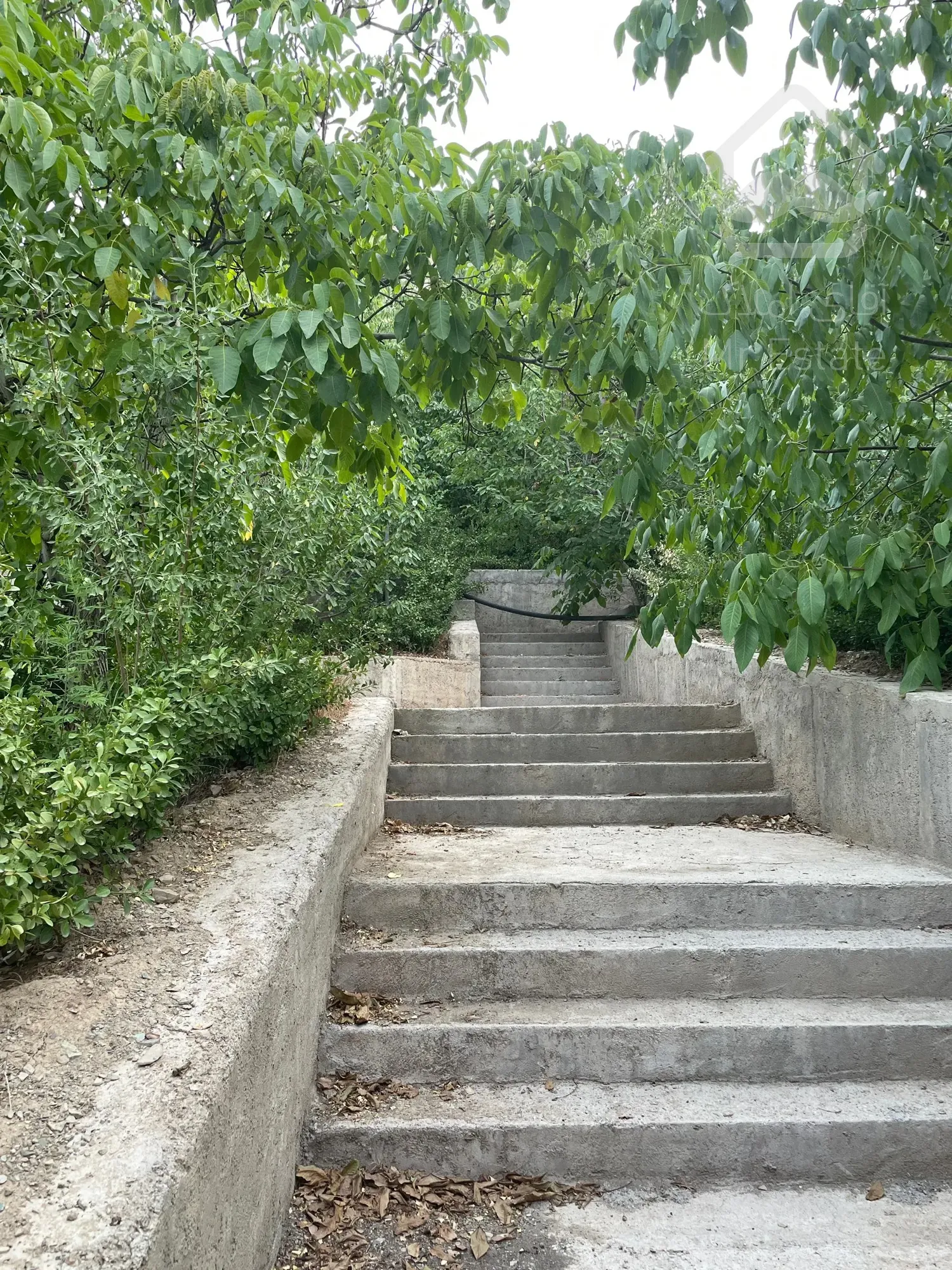 ۱۶۰۰ متر لواسان