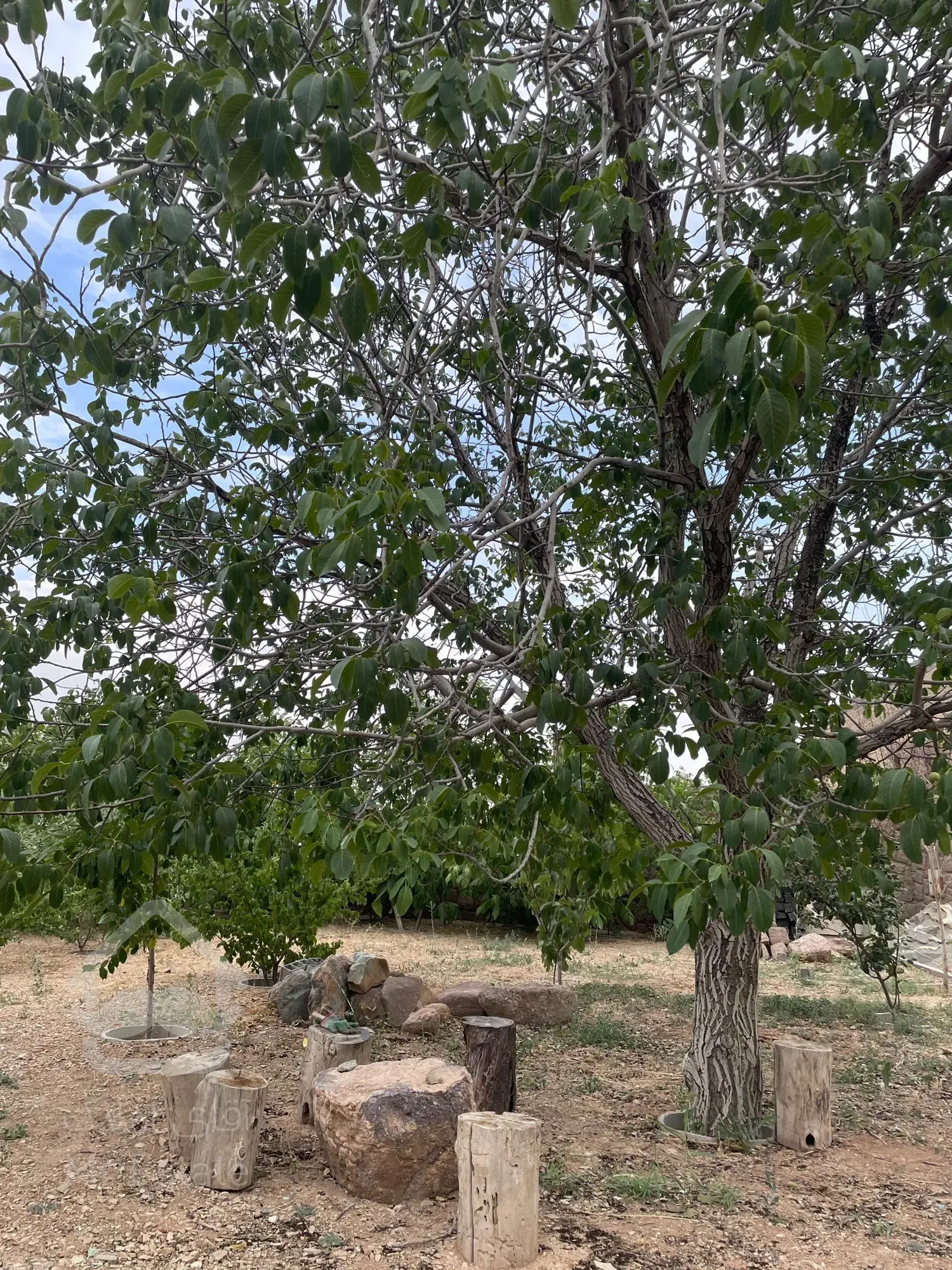 ۱۰۵۰ متر لواسان