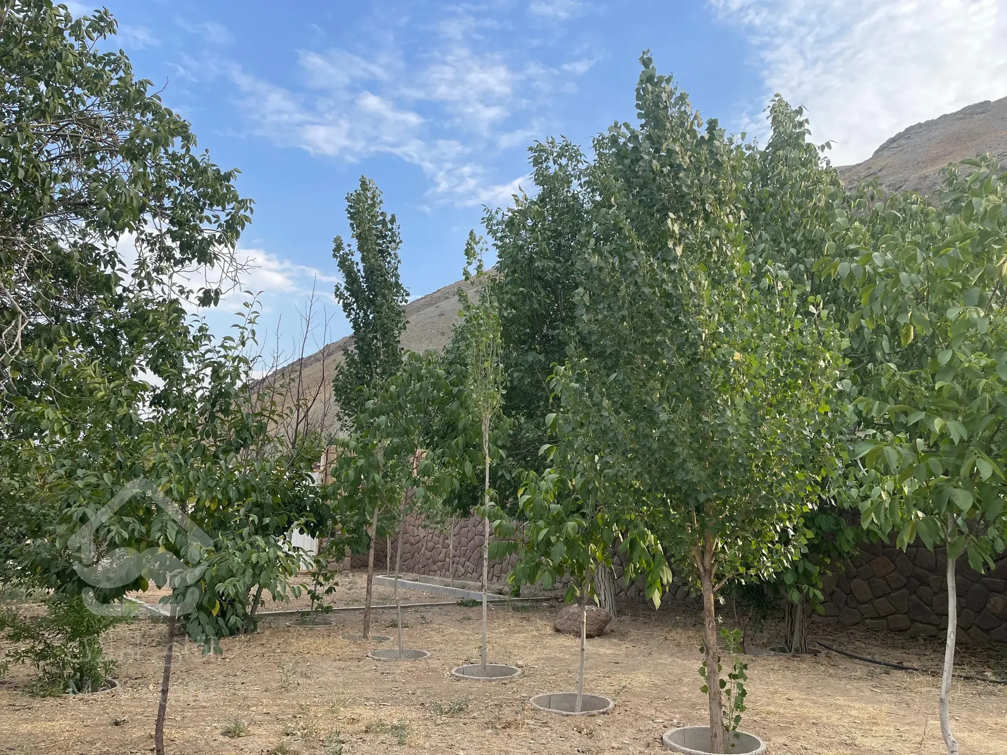 ۱۰۵۰ متر لواسان