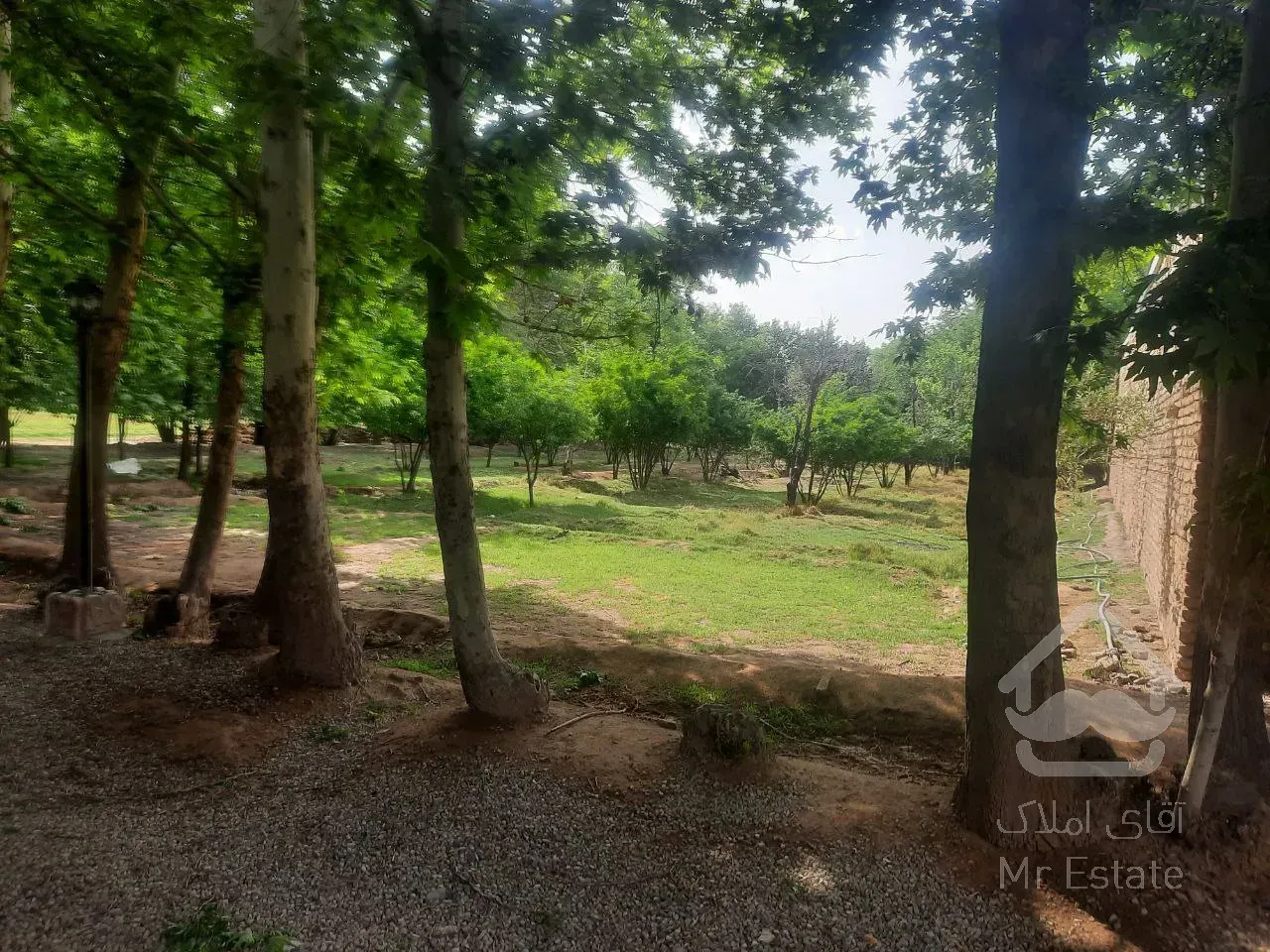 زمین ۵۰۰ متری ورامین