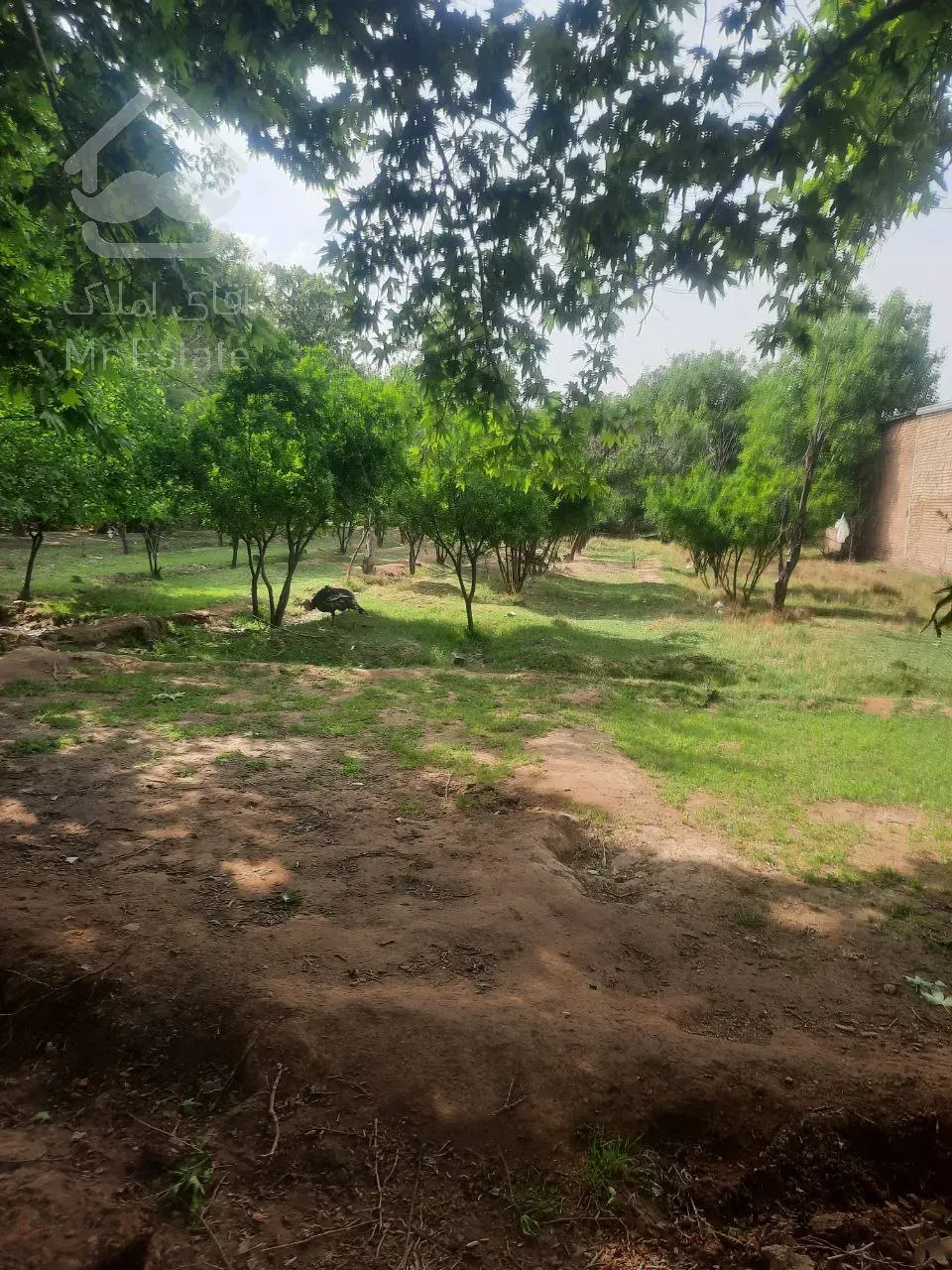 زمین ۵۰۰ متری ورامین