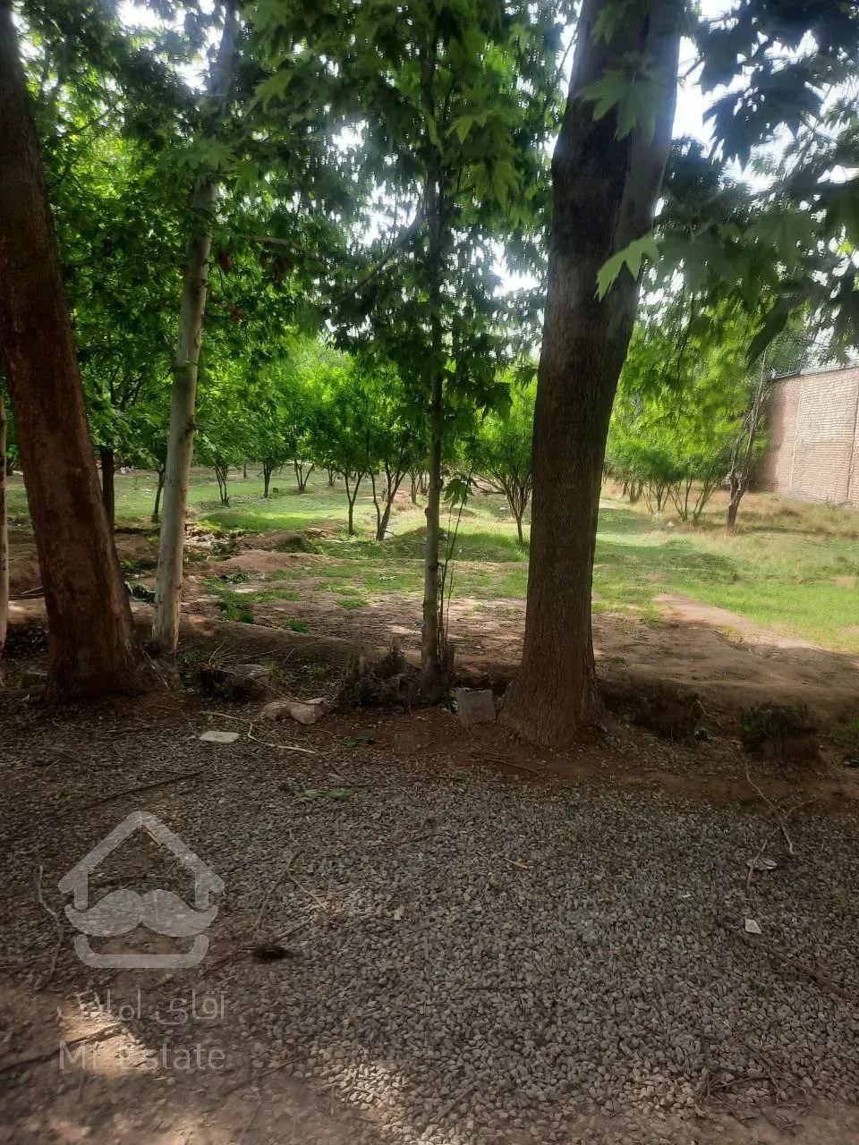 زمین ۵۰۰ متری ورامین