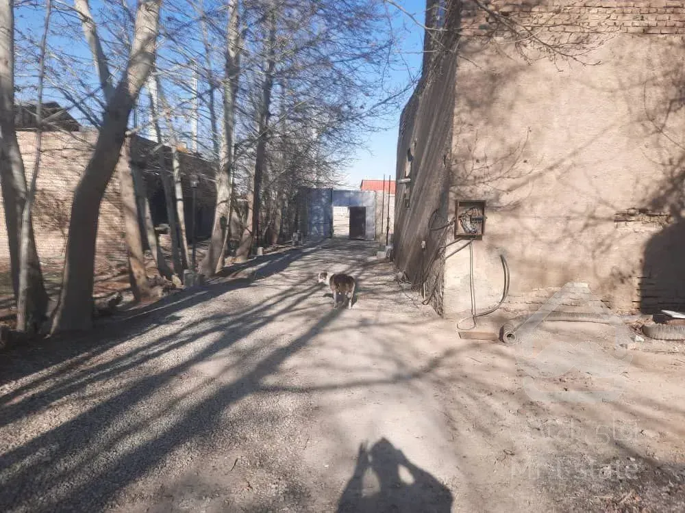 زمین ۵۰۰ متری ورامین