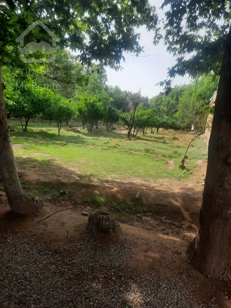 زمین ۵۰۰ متری ورامین